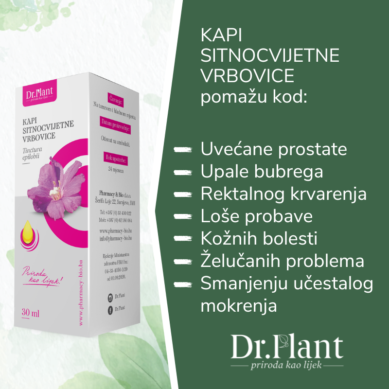 DR.PLANT KAPI SITNOCVIJETNE VRBOVICE 30ml, Doprinosi normalnom funkcioniranju prostate - Image 2