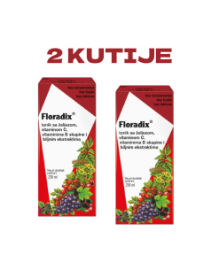 POSEBNA PONUDA 2 KUTIJE FLORADIX TONIK SA ŽELJEZOM 250ml